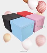 cutii pentru baloane chisinau