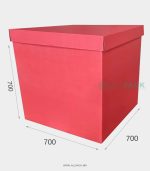 cutii pentru baloane chisinau