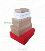 cutii cu capac cadouri livrare